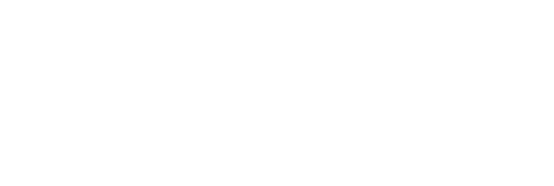 T.S. LINES